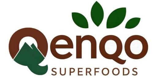Logo Final – Icono